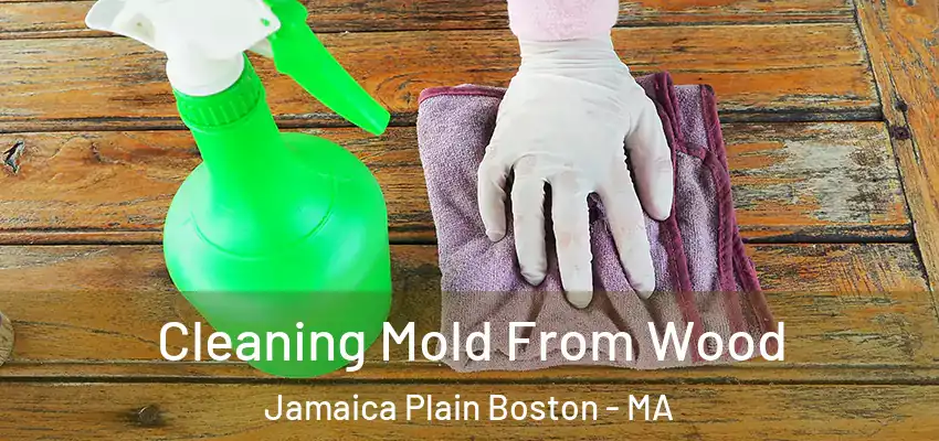 Cleaning Mold From Wood Jamaica Plain Boston - MA