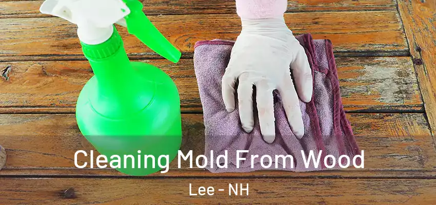  Cleaning Mold From Wood Lee - NH