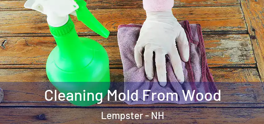 Cleaning Mold From Wood Lempster - NH