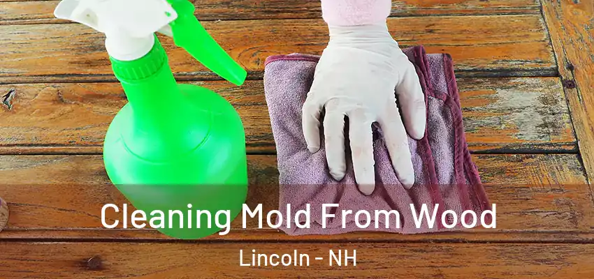 Cleaning Mold From Wood Lincoln - NH