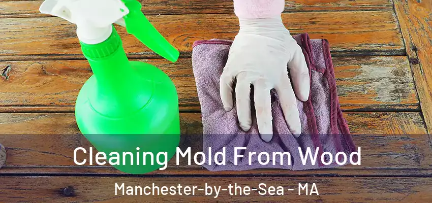Cleaning Mold From Wood Manchester-by-the-Sea - MA