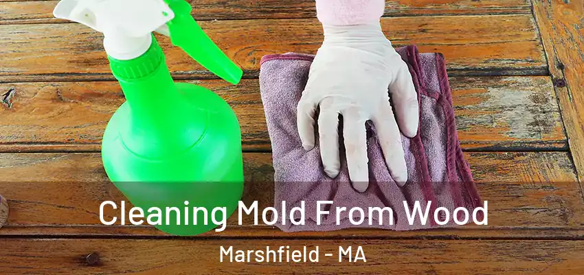 Cleaning Mold From Wood Marshfield - MA