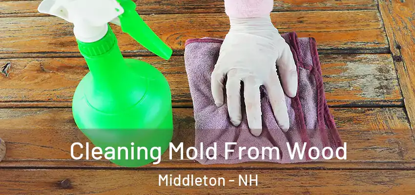 Cleaning Mold From Wood Middleton - NH