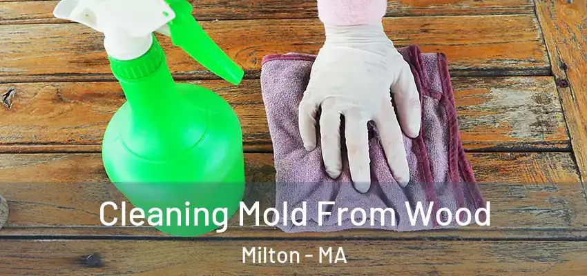 Cleaning Mold From Wood Milton - MA
