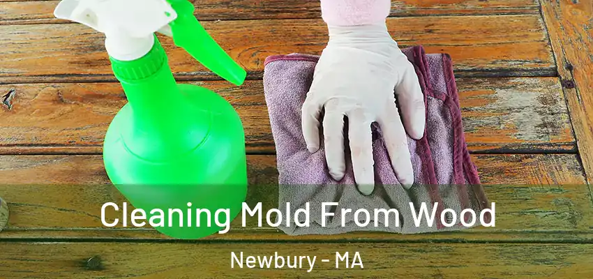 Cleaning Mold From Wood Newbury - MA