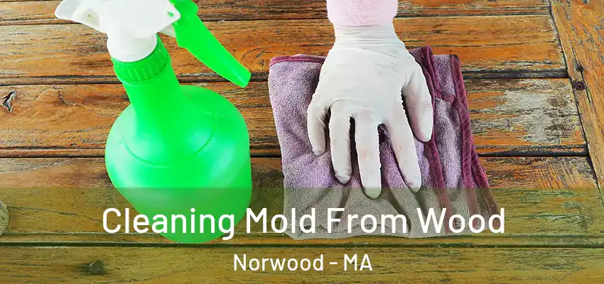  Cleaning Mold From Wood Norwood - MA