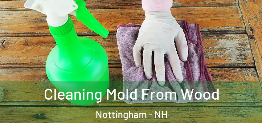  Cleaning Mold From Wood Nottingham - NH