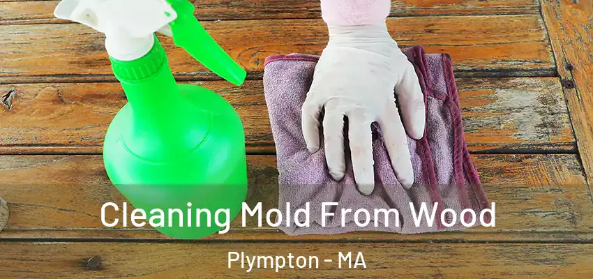  Cleaning Mold From Wood Plympton - MA