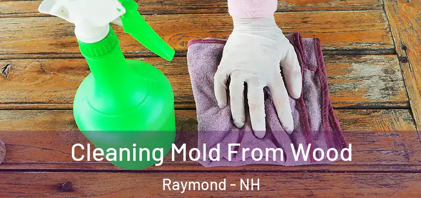 Cleaning Mold From Wood Raymond - NH