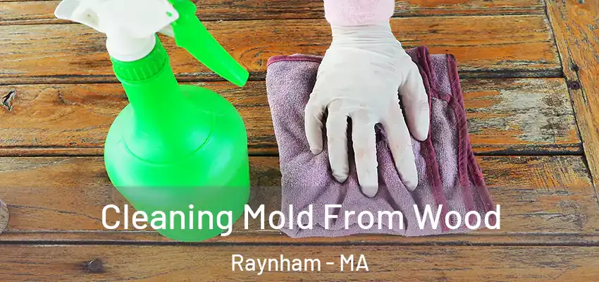 Cleaning Mold From Wood Raynham - MA