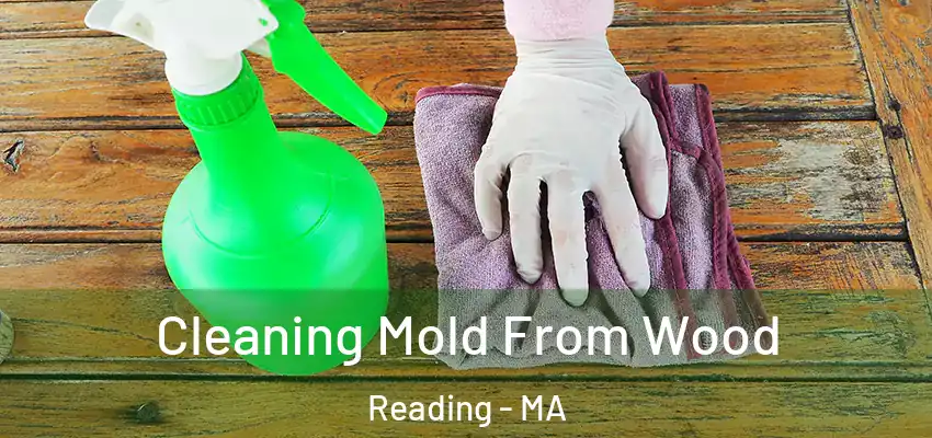  Cleaning Mold From Wood Reading - MA
