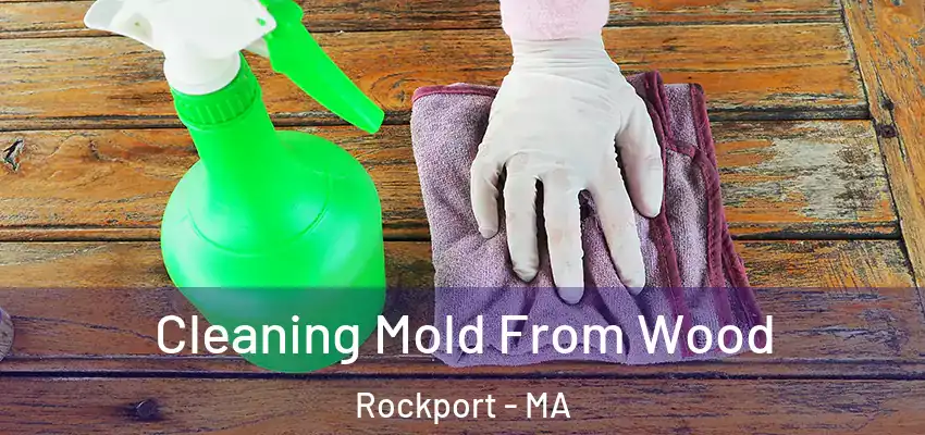 Cleaning Mold From Wood Rockport - MA