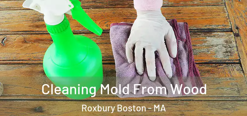  Cleaning Mold From Wood Roxbury Boston - MA