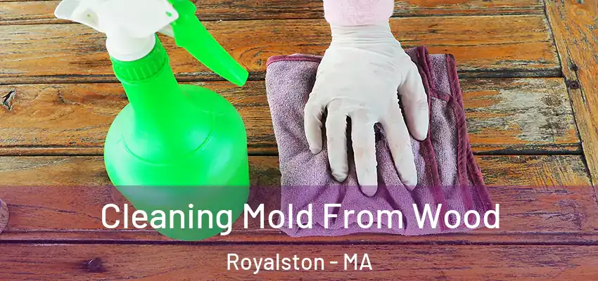 Cleaning Mold From Wood Royalston - MA