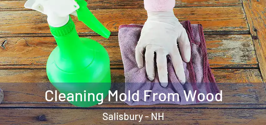 Cleaning Mold From Wood Salisbury - NH