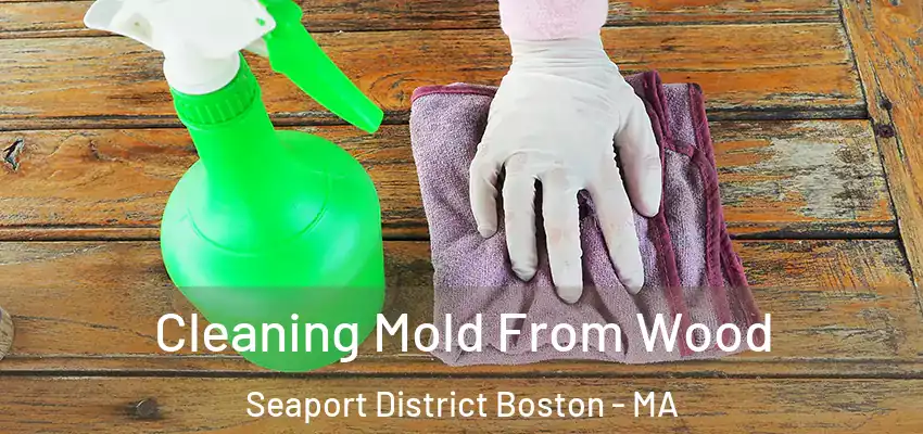 Cleaning Mold From Wood Seaport District Boston - MA