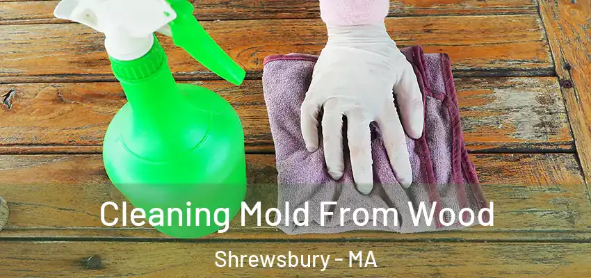  Cleaning Mold From Wood Shrewsbury - MA