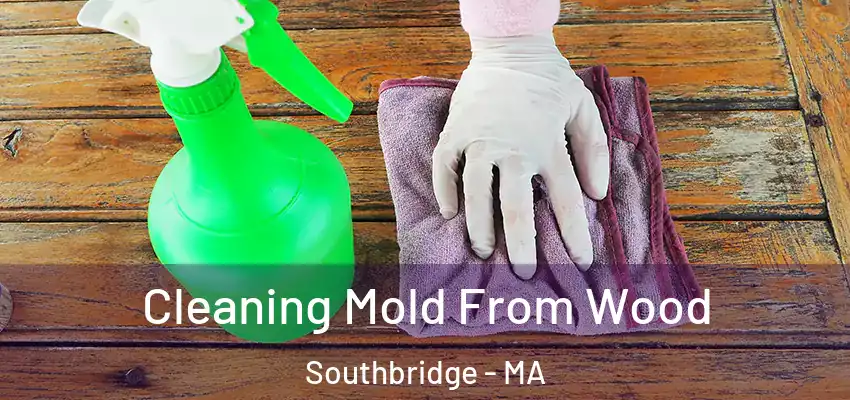  Cleaning Mold From Wood Southbridge - MA