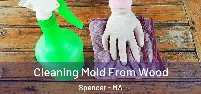 Cleaning Mold From Wood Spencer - MA