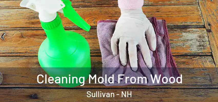  Cleaning Mold From Wood Sullivan - NH
