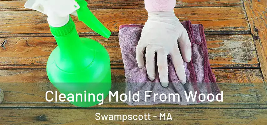 Cleaning Mold From Wood Swampscott - MA