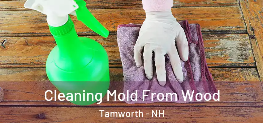  Cleaning Mold From Wood Tamworth - NH
