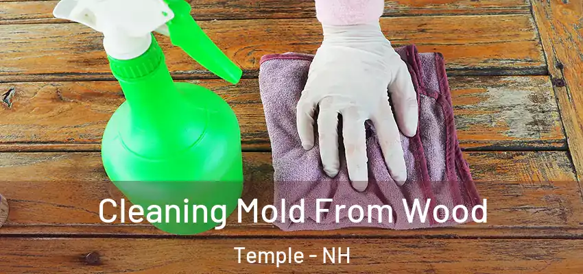 Cleaning Mold From Wood Temple - NH