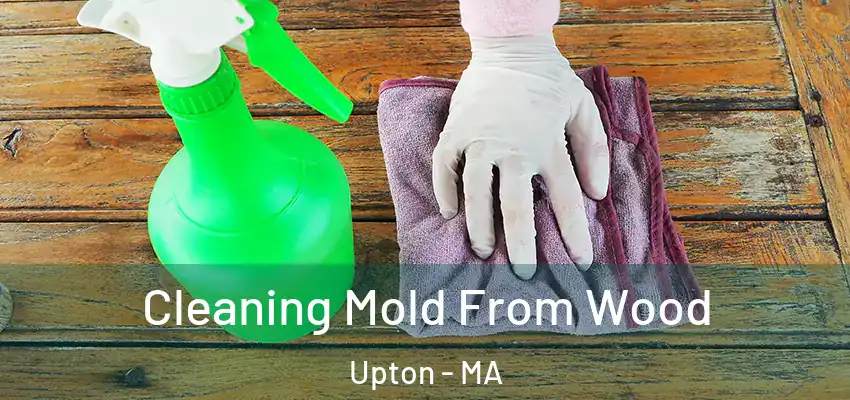 Cleaning Mold From Wood Upton - MA