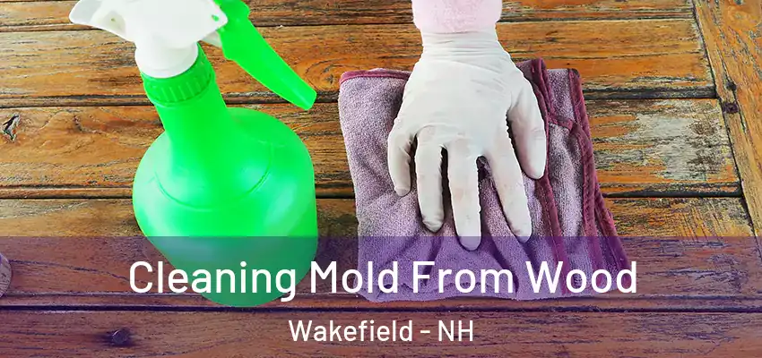 Cleaning Mold From Wood Wakefield - NH