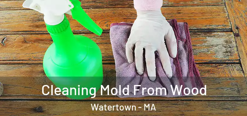 Cleaning Mold From Wood Watertown - MA