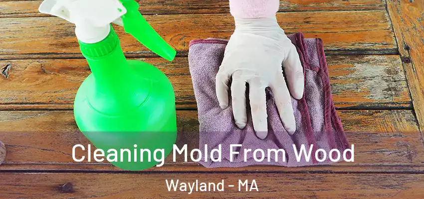 Cleaning Mold From Wood Wayland - MA