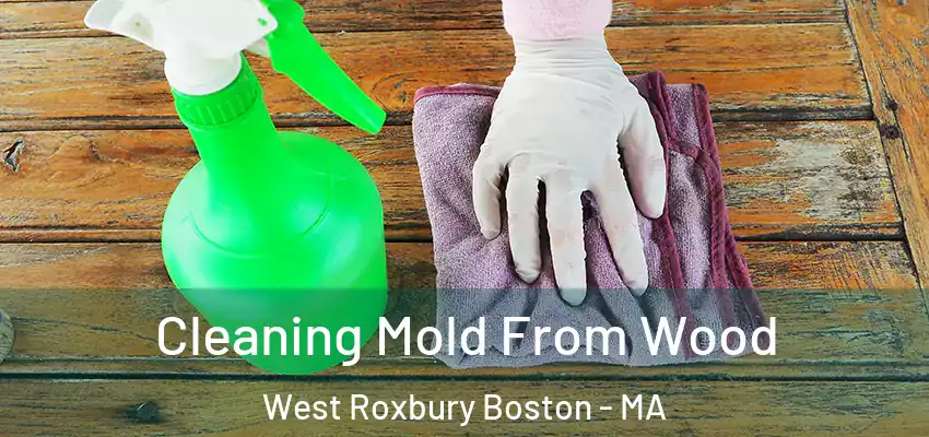 Cleaning Mold From Wood West Roxbury Boston - MA