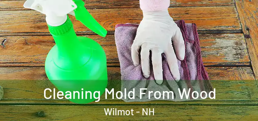  Cleaning Mold From Wood Wilmot - NH