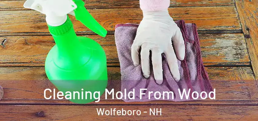 Cleaning Mold From Wood Wolfeboro - NH