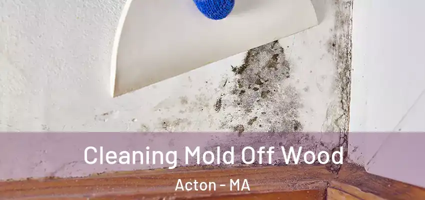 Cleaning Mold Off Wood Acton - MA