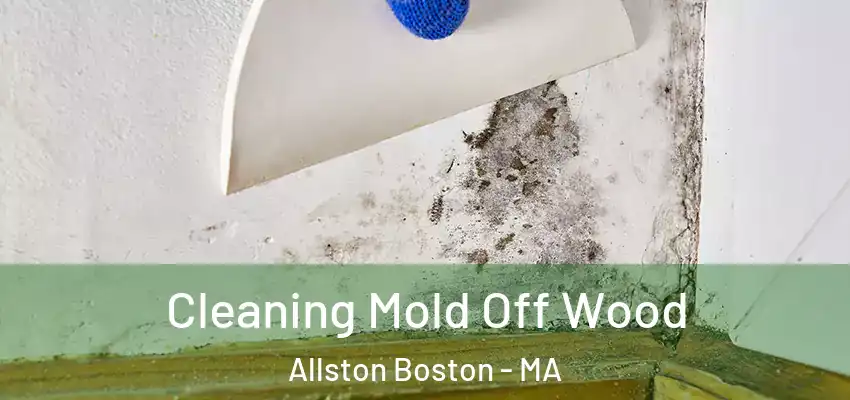 Cleaning Mold Off Wood Allston Boston - MA