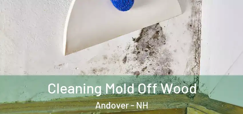Cleaning Mold Off Wood Andover - NH