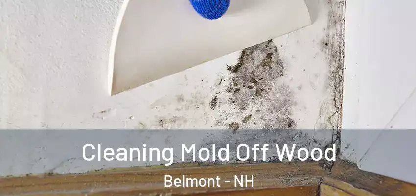 Cleaning Mold Off Wood Belmont - NH