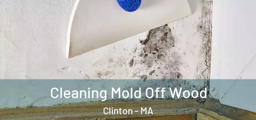  Cleaning Mold Off Wood Clinton - MA