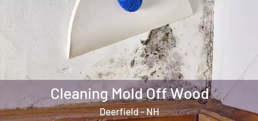 Cleaning Mold Off Wood Deerfield - NH