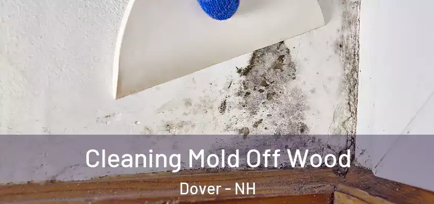 Cleaning Mold Off Wood Dover - NH