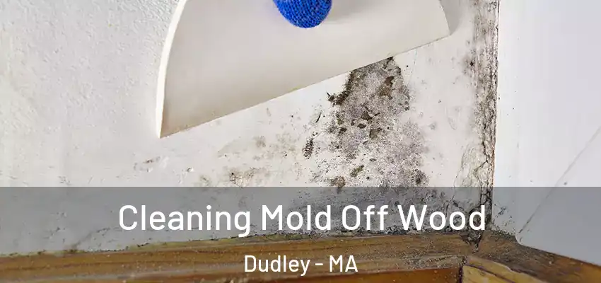 Cleaning Mold Off Wood Dudley - MA