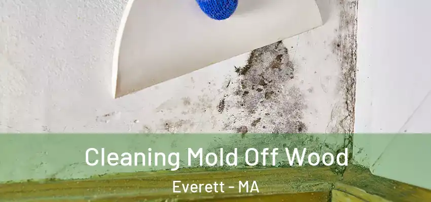  Cleaning Mold Off Wood Everett - MA