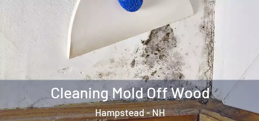  Cleaning Mold Off Wood Hampstead - NH
