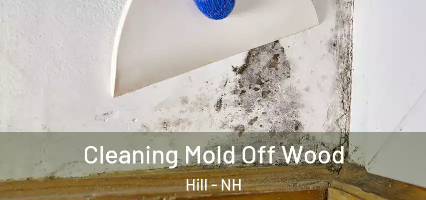  Cleaning Mold Off Wood Hill - NH