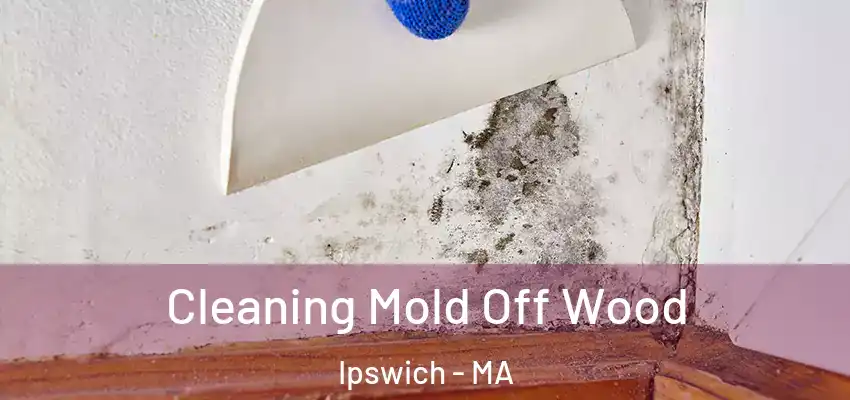  Cleaning Mold Off Wood Ipswich - MA