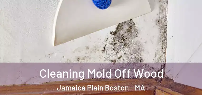 Cleaning Mold Off Wood Jamaica Plain Boston - MA