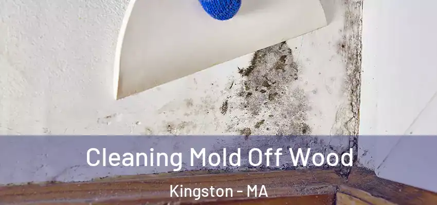  Cleaning Mold Off Wood Kingston - MA