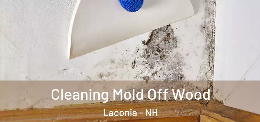  Cleaning Mold Off Wood Laconia - NH