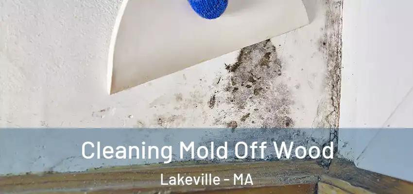 Cleaning Mold Off Wood Lakeville - MA